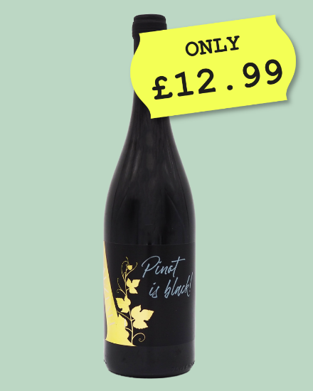 pinot noir on sale 