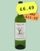 Sauvingnon blanc under £10 